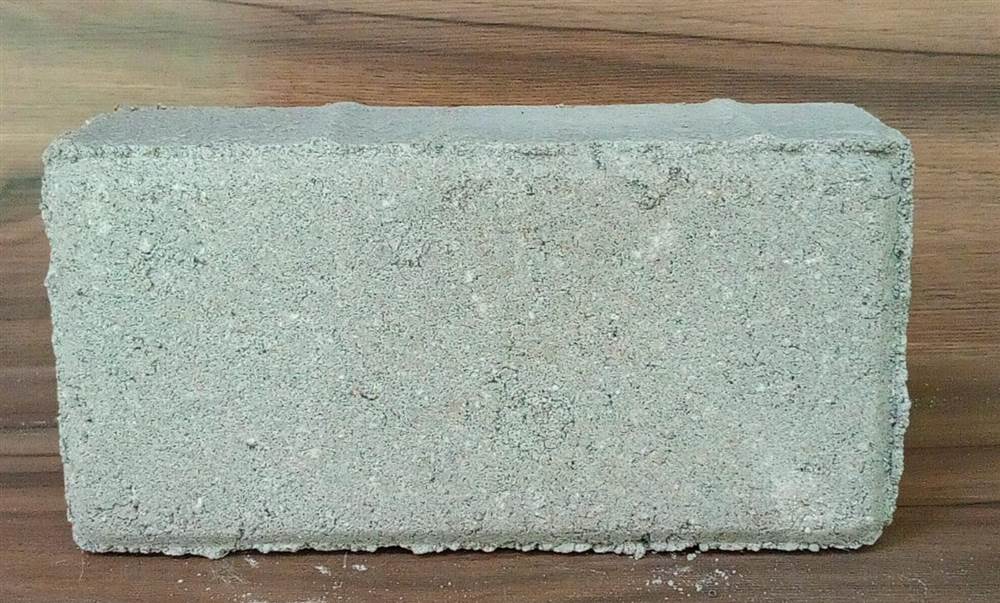 Paver Retangular 10×20 cm